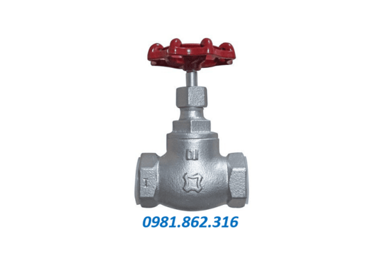 Van cầu hơi DN25 5