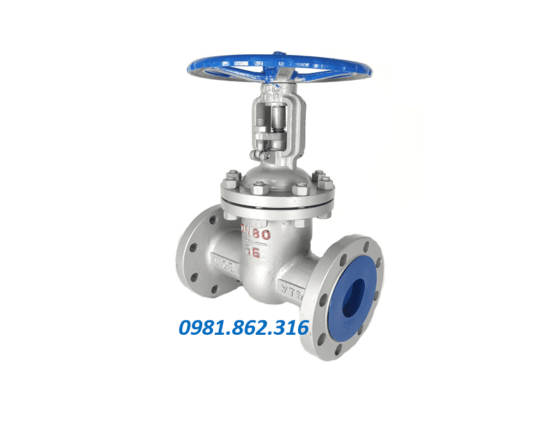 Van cổng mặt bích BS 5