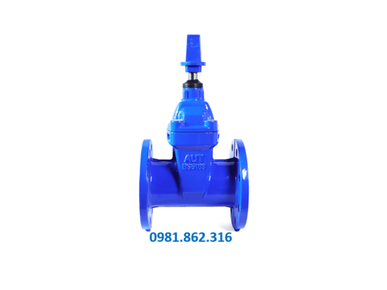 Van cổng ty chìm AUT 4