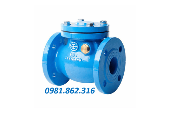 Van một chiều DN125 5